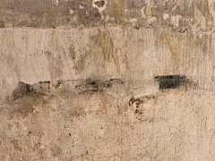 _4848717471