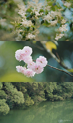 琴酒小筑采集到| 摄影欣赏 |