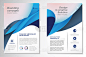 Vector Brochure Flyer design Layout template