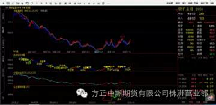 mixa采集到现货炒股