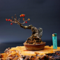 怡景园 日本小品蔓梅凝 抱石 花果盆景 微型盆栽 实物拍摄5-淘宝网