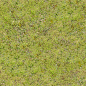 Textures.com - Grass0153 : Textures for 3D, Graphic Design and Photoshop 15 Free downloads every day!