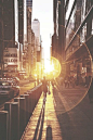 NY light: 