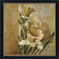 全艺装饰画系列三（花卉植物图案） 5787564
