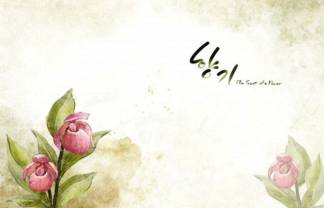 温馨粉色韩国花朵背景图片