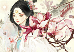 悠果花采集到古风