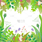 春天,绿色,植物群,花纹,边框,夏天,明亮,白色,自然美,庆祝