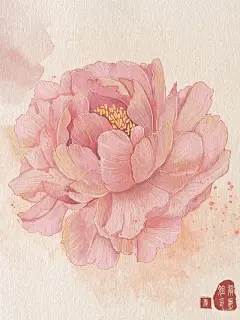 牡丹插画素材 - 小红书搜索