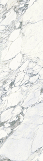 Porcelain Tile | Marble Look Plane Arabescato Vena www.stonepeakcera...