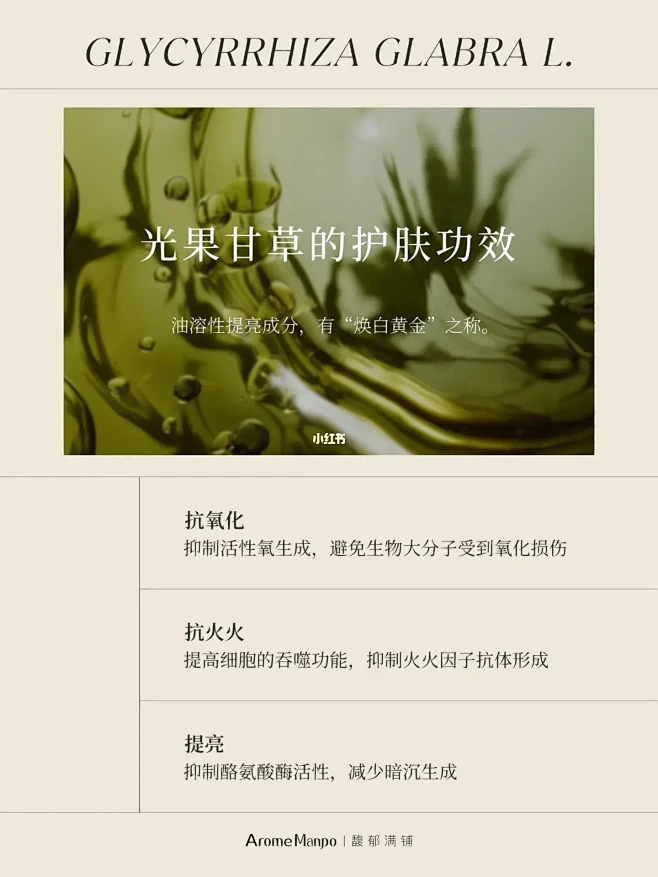 冬季提亮 | 一篇带你从入门到精通