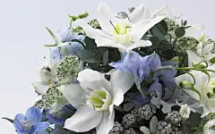 婚礼婚戒鲜花桌面高清壁纸桌面壁纸1