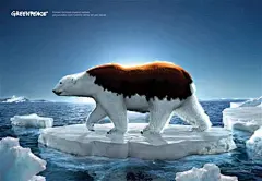 北极正在消失：全球变暖，冰雪融化，北极正在慢慢的消失。