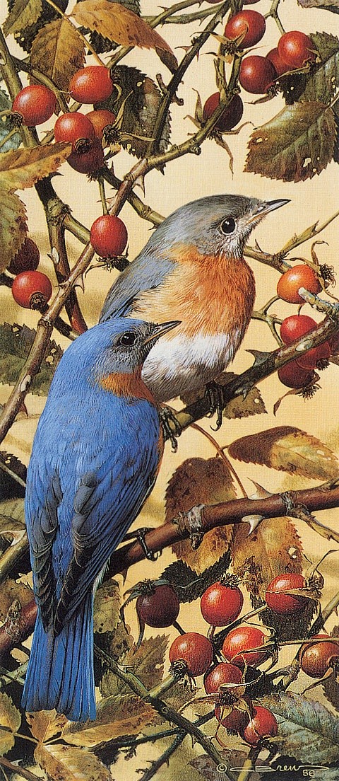 Bluebirds by Carl Br...