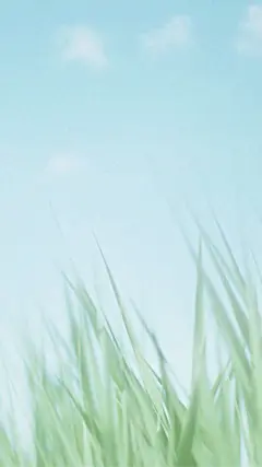 【壁纸】任何限制，都是从自己的内心开始的_手机壁纸吧_百度贴吧