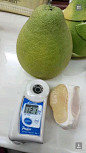 糖印蜜柚糖度12度以上为合格产品