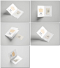 精致礼品卡感谢卡设计提案展示样机模板下载 Gift Card Mockup