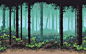 KFK: Bamboo Forest