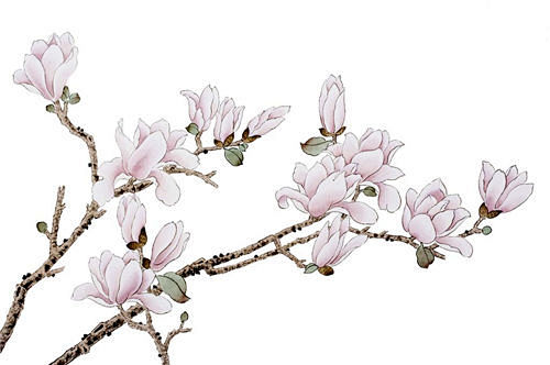 中国复古风 工笔画 牡丹 梅花 鹿孔雀 ...