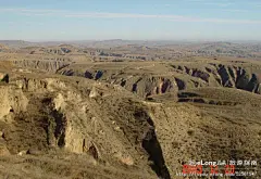 让人惊讶的黄土高原美景：实地见证陕北荒原变绿洲——陕西5, 行摄千里旅游攻略