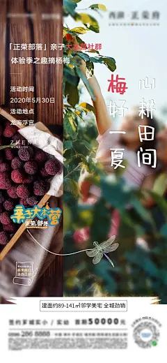 地产杨梅采摘活动预告海报-源文件-采灵感-cailinggan.com