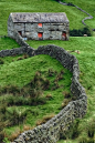 Stone Fence, Yorkshire, England
photo via enchantedengland