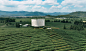DJI_20240803123952_0037_D