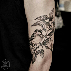 ●△●采集到tattoo for girls