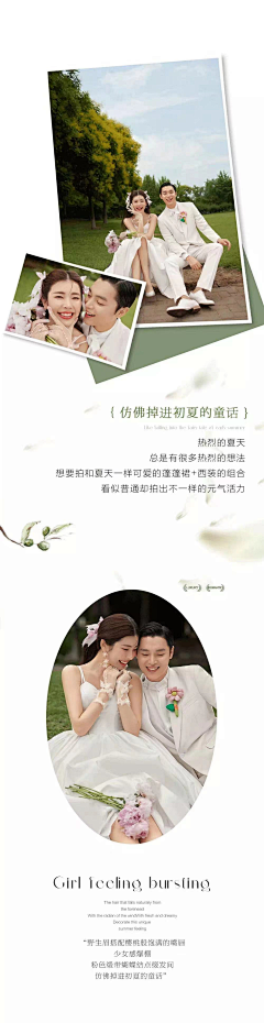 Bird=Bird采集到法式