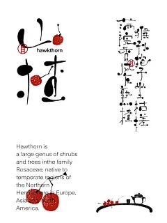 汉字·写意（四十八） : 山楂 - 满院香风乍熟楂， 猴孙抱子坐枯槎。 - 运用仿水墨的形式对汉字加以创作，将字体融入图形，结合中国画写意的精神内核，寻求不一样的表达方式。 #手写字体  #字体设计  #海报设计  #诗词