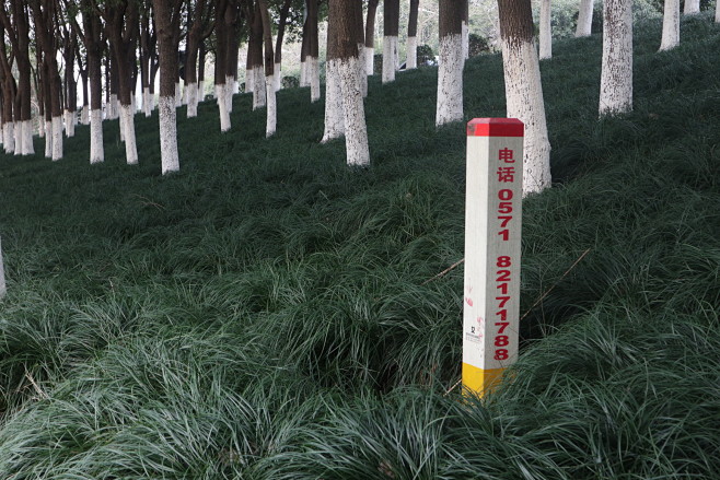 杭州 钱塘江江边