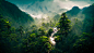 exotic-foggy-forest-jungle-panorama-forest-oasis-foggy-dark-forest-natural-forest-landscape-3d-illustration