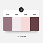 2019 Website Color Schemes | Hook Agency