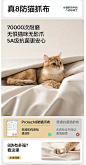 QQ20241217-100225