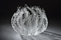 灵动的玻璃雕塑。 美国艺术家Emily Williams从海洋生物得到灵感，模仿创作海藻、水母、珊瑚的玻璃雕塑作品。