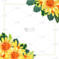 Spring/Summer yellow flower frame vector