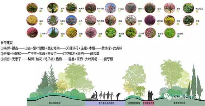 居住区康体保健植物设计研究总结干货分享 : 运用植物天然的强身健体、理疗治病作用提升住区居民的生理和心理健康程度，是住区景观营造的新的价值点所在。