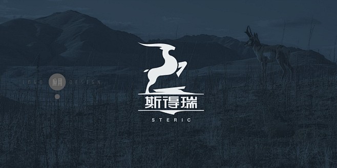 品牌LOGO设计-斯得瑞