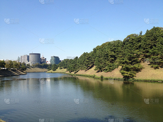 东京的公园，夏天