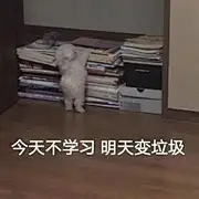 菲菲霏