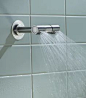 Vola 080D Double Showerhead | QualityBath.com guest bath