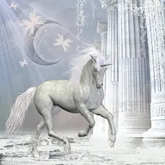 独角兽