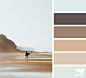 Design Seeds : Design Seeds color palettes ... posted daily for all who love color.