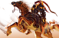 L-吕布 (2).png