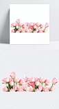 清新唯美粉色玫瑰花丛|唯美玫瑰花,清新玫瑰花,粉色玫瑰花,花丛,花卉,花朵,玫瑰花,鲜花,卡通元素,手绘/卡通