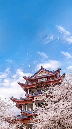 -shotacon-采集到场景