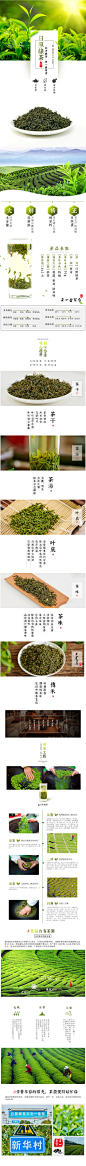 春茶节详情页清新文艺范红茶绿茶详情页茶叶详情