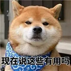 表情包||柴犬表情包-兴趣部落