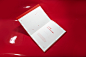 editorial design red graphics Mockup editorial design  Project Sience Minimalism simple