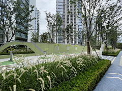 喜欢小皮球采集到健身场地