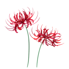 花草叶子